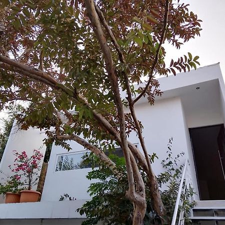 Casa Mango 3 Amplio Departamento Villa Rio Verde Exterior photo